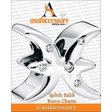 Işıltılı Balık Burcu Charm Gümüş