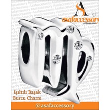 Işıltılı Başak Burcu Charm Gümüş