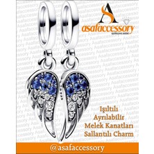 Melek Kanadı Charm Set Gümüş Kaplama Asafaccessory