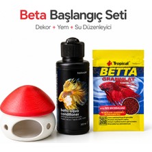 Muyu Craft Beta Başlangıç Seti - Kırmızı Mantarlı Akvaryum Dekoru, Betta Yemi ve Su Düzenleyici