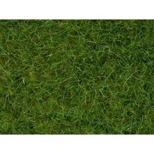 Noch 7102 Statik Çayır Dokusu, Açık Yeşil, 6 Mm, 50 Gram Diorama Malzemesi