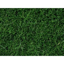 Noch 7106 Statik Çayır Dokusu, Koyu Yeşil, 6 Mm, 50 Gram Diorama Malzemesi