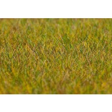 Faller 180484 Statik Çim, Açık Yeşil, 6 Mm.,30 Gram.