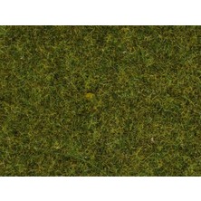 Noch 8212 Statik Kısa Çim, Yaz Çayırı, 1.5 Mm, 20 Gram Diorama Malzemesi