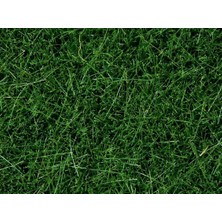 Noch 7094 Statik Çayır Dokusu, Koyu Yeşil, 6 Mm, 100 Gram Diorama Malzemesi