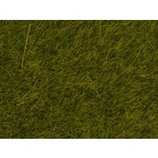 Noch 7100 Statik Çayır Dokusu, Çayır Yeşili, 6 Mm, 50 Gram Diorama Malzemesi