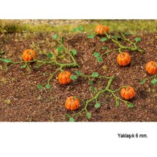 Faller 181258 Bal Kabakları, 6 Adet