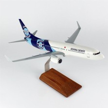 THY011 1/100 Ölçek, Thy Adana Demir Spor Logolu B737-800 Yolcu Uçağı, Sergilemeye Hazır Ahşap Standlı Model
