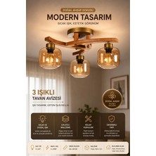 Weston 3 Lü Naturel Bal Camlı Plofonyer Avize
