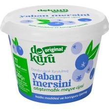 Die Grup Dokuru Original Yaban Mersini Atıştırmalık Meyve Cipsi 20GR