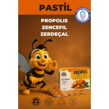 Bogaz Pastili
