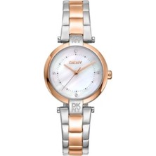 Dkny DK1L043M0095 Kadın Kol Saati