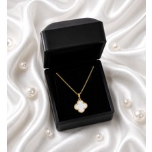 Ada Life Gümüş Işıklı Kutu) 925 Ayar Gümüş 18 Ayar Gold Kaplama Taşlı Yonca Kolye