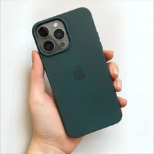 Pronorth Iphone 15 PRO Uyumlu Kılıf Logolu Lansman Soft Yumuşak Içi Kadife Silikon Kapak