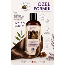 La Joliesse At Kestanesi & Kolajen Şampuan 400 ml | İnce Telli ve Hacimsiz Saçlar İçin | Uzun ve Bakımlı Saç Görünümü | | Biotin, Keratin ve Panthenol | Paraben & Silikon İçermez