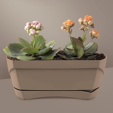 Modern Balkon Saksı (Kahve, 6.6 Litre)
