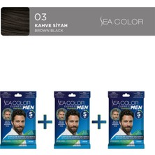 Sea Color 3'lü Express Men Amonyaksız Şampuan Boya, Şampuan Kolaylığında Erkek Saç Boyası 03 Kahve Siyah