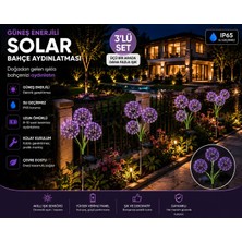 Zigver Bahçe Işık Aydınlatma Solar