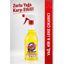 Aspirix Güçlü Kir Yağ ve Leke Çıkarıcı Tex Kireç Çözücü