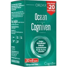 Orzax Ocean Cogniven 30+6 Kapsül %20 Daha Fazla