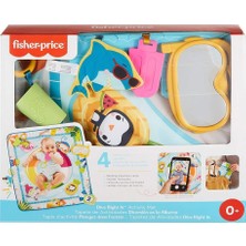 Die Grup Fisher Price Havuz Keyfi Oyun Minderi GRR44