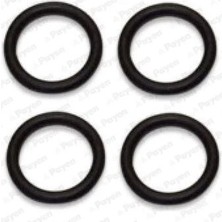 PAYEN Emme Manifold Contası P107-P206-P307-BIPPER-NEMO-C1-C2-C3-FIESTA-FUSION 1.4 Hdı Dv4