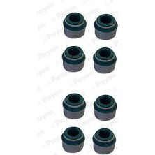 PAYEN Subap Lastiği Renault R9-R11-R12-R19 Clıo-Kangoo-Laguna 1.4 1.9d