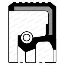 PAYEN Krank Mil Keçesi Renault Clıo-Fluence-Kangoo-Laguna-Megane-Modus-Scenıc-Duster-Logan-Sandero 1.5 Dci 35X47X7 8200166466