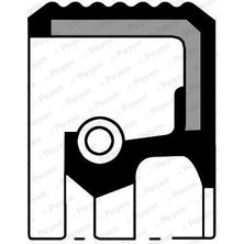 PAYEN Aks Keçesi Sağ Peugeot P307-P308-P407-P408-P2008-P3008-PARTNER-BOXER Cıtroen C3-C4-C5-Xsara-Berlıngo 32X50X10MM
