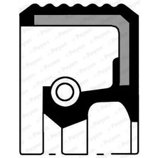 PAYEN Krank Arka Keçesi R9-R11-R19-R12 Toros-Clıo-Mgn-Scenıc-Kng-Twng 80X100X8
