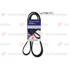 HUTCHINSON Kanallı Kayıs Mercedes Cıtroen Hyundaı Daewoo Kıa Opel Peugeot