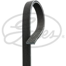 Gates Kanallı Kayıs Land Rover Freelander Iı 204PT L359 . Ford Mondeo Volvo XC60 I S60 S80 Volvo XC60 I S60 S80