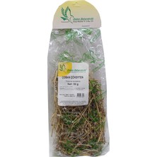Colezium Çoban Çökerten Otu Doğal 50 gr Paket