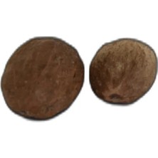 Colezium Hint Cevizi Muskat Küçük Hindistan Cevizi Doğal 10 gr Paket
