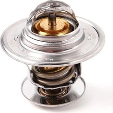 HELLUX Termostat 87 C Vw Polo Iıı-Iv-Passat B5-B6-Golf Iv-V-Vı-Transporter T5-Caddy Iıı-Jetta Mk5-Mk6-A3 A4 -A6-Octavıa I-Iı-Fabıa I-Superb I 1.9-2.0-1.9 Tdı-2.0 Tdı