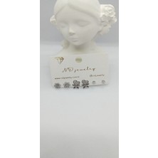 Silver Renk Kalp ve Çiçekli Küpe Seti