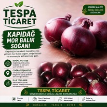 Kapıdağ Mor Balık Soğanı 5 kg | Coğrafi Işaretli Erdek Ballıpınar Mor Soğanı | Tespa Ticaret