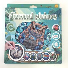 NT Boncuklu Taşlı Yuvarlak Pano Tüm Yaşlar Için Mozaik Elmas Goblen Diamond 20 x 20 cm Baykuş
