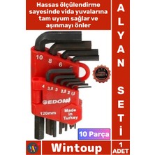 Wintoup #alyanseti Profesyonel Çelik Allen Takımı El Aletleri Sağlam L Tipi 120 mm 10 Parça Alyan Seti Siyah