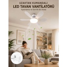 Hace Bazaar Yüksek Aydınlatma Performansına Sahip LED Tavan Fanı Sessiz Çalışma Güçlü Esinti ve Uzakta