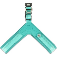 MarkEntegra Max & Molly Urban Pets Matrix 2.0 Akıllı Künyeli Q-Fit Köpek Göğüs Tasması - Küçük ve Orta Boy Irklar Için Konforlu ve Güvenli (Turkuaz, L)