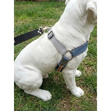 MarkEntegra Köpek Göğüs Tasması Büyük ve Çok Büyük Irk Ayarlamalı Önden ve Sırttan Çekmeli (Açık Mavi & Açık Gri, Xl)