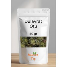 Mucize Tıp Dulavrat Otu Kurusu Dökme 50 gr