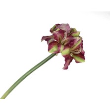 Mikasa Eflatun Yeşil  Yapay Amaryllis 73cm