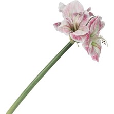 Mikasa Moor Pembe Yapay Amaryllis 73Cm