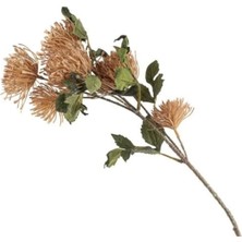 Mikasa Moor Leucospermum Somon Yapay Çiçek 75Cm