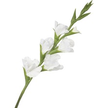 Mikasa Beyaz Yapay Glayöl 86cm