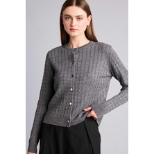DeFacto Regular Fit Bisiklet Yaka Antrasit Hırka H8479AX26WN