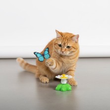 Runaway Hareketli Pilli Kedi Oyuncağı Kelebek Av Keyfi