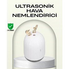 Epilons Abs+pp Malzemeli Taşınabilir 220 ml Usb Mist Nemlendirici